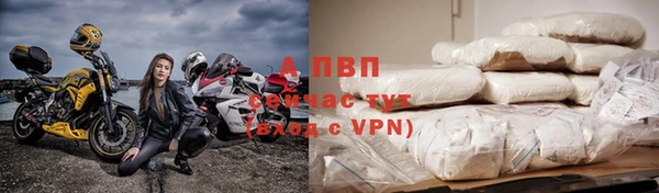 Альфа ПВП Надым